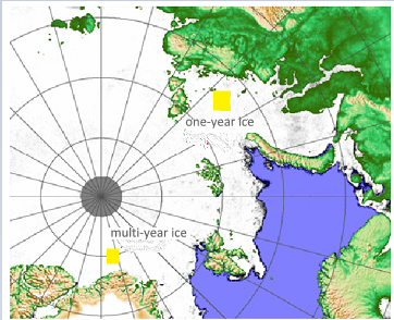 Advancements in Multi-Year Ice Concentration Estimation from SSM/I 91.6GHz Observations