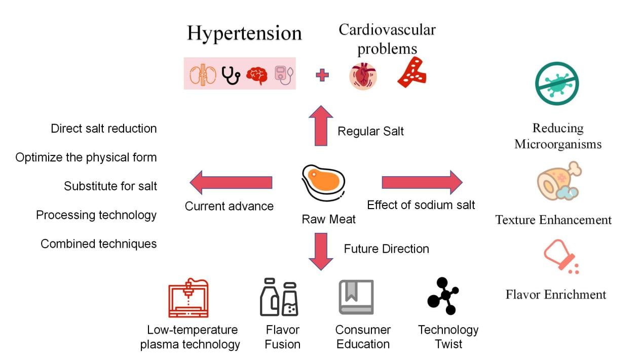 Salt Reduction in Processed Meats: Current Advances and Future Directions