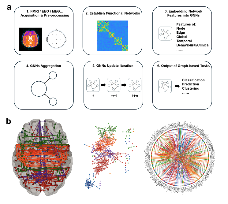 Modeling Brain Functional Networks Using Graph Neural Networks: A Review and Clinical Application