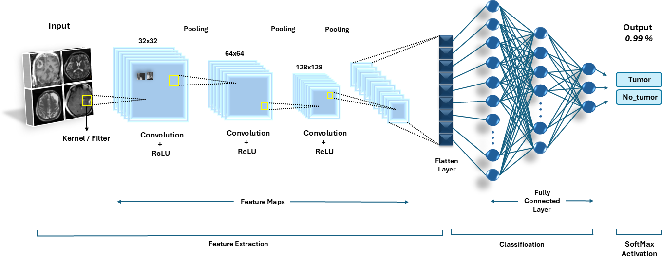 Visual Intelligence in Neuro-Oncology: Effective Brain Tumor Detection through Optimized Convolutional Neural Networks