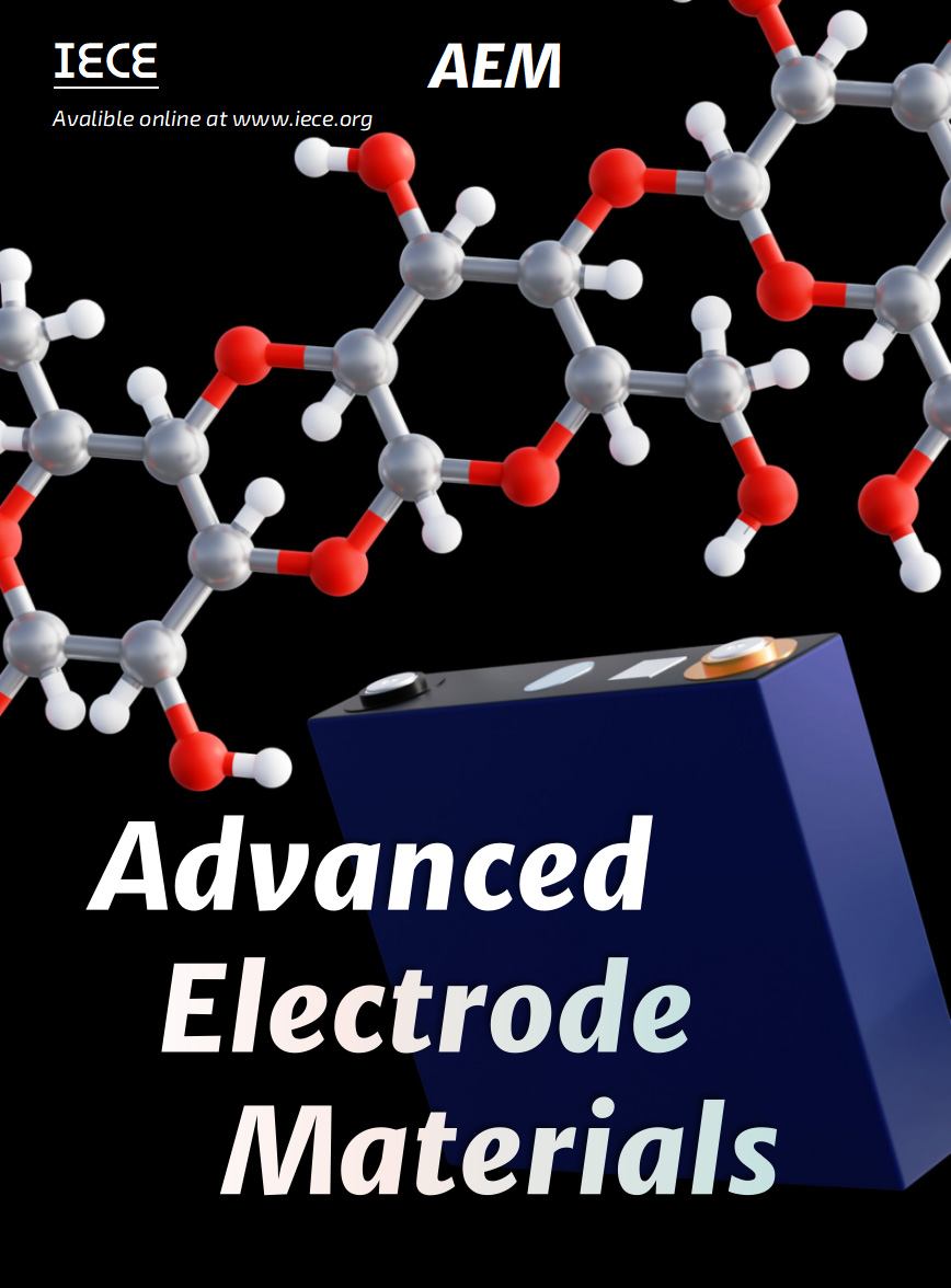 Advanced Electrode Materials